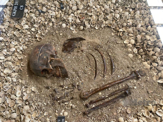 Guar Kepah: An Exclusive Guided Archaeological Site Visit with Dr. Suresh Narayanen