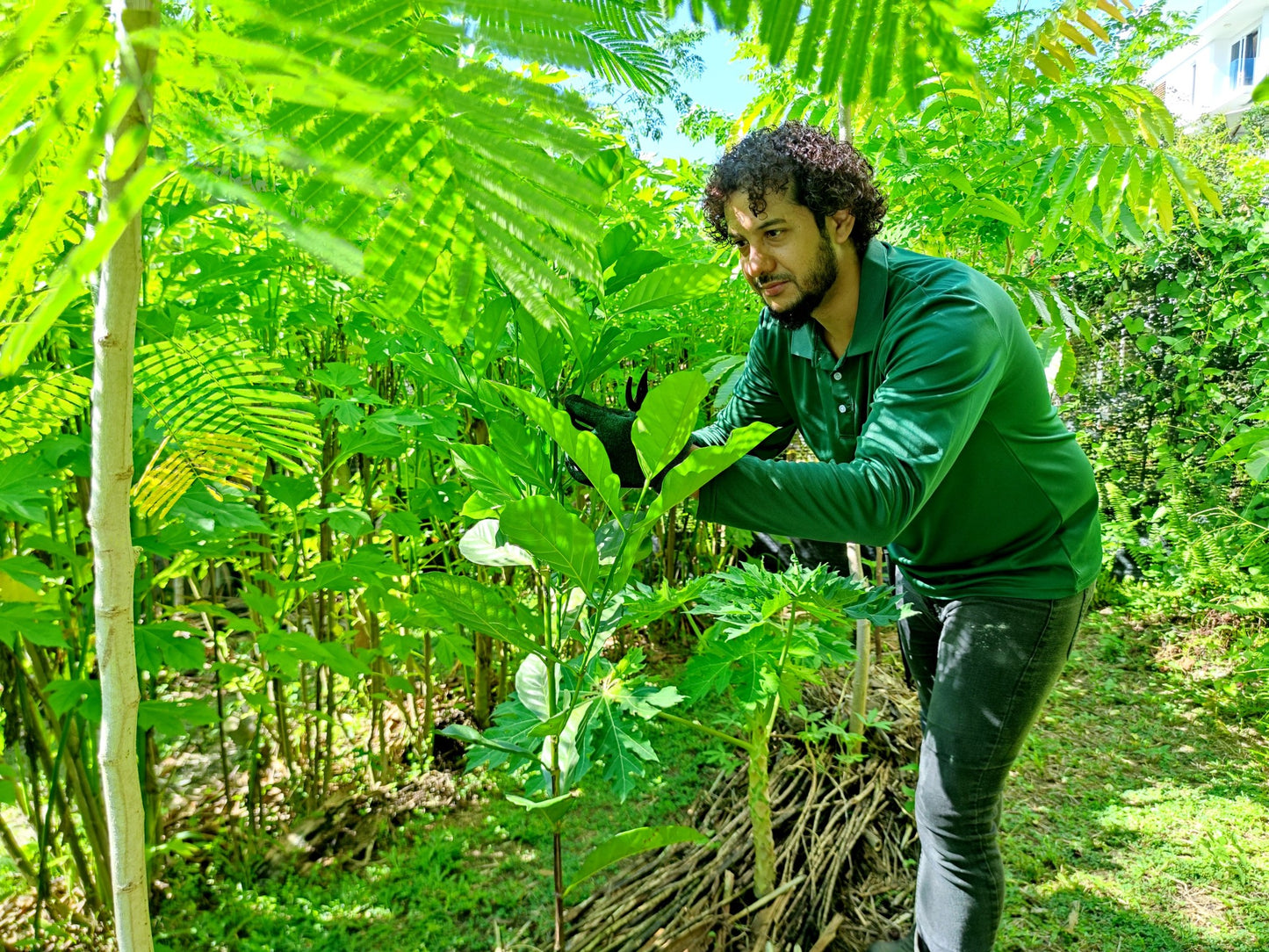 Regenerative Farm Setup: Full-Service Turnkey Solution (1-Year Guaranteed)