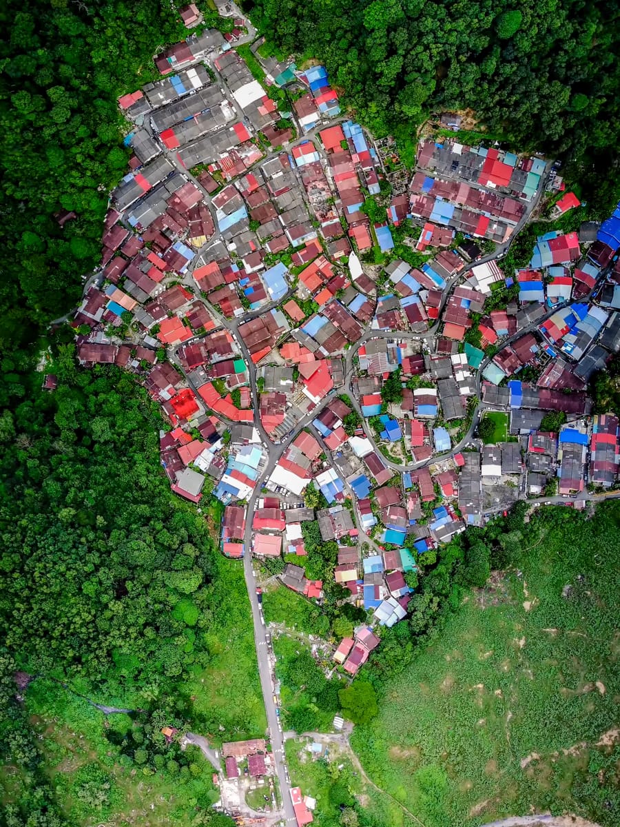 Secrets of White Cloud Mountain: The Hong Seng Estate Heritage Walk