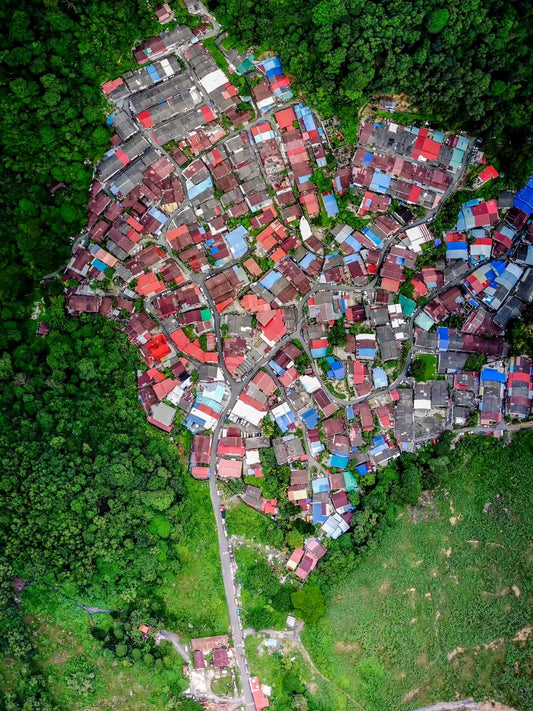 Secrets of White Cloud Mountain: The Hong Seng Estate Heritage Walk